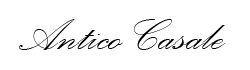 Canvas Logo