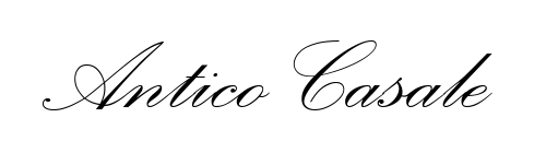 Canvas Logo
